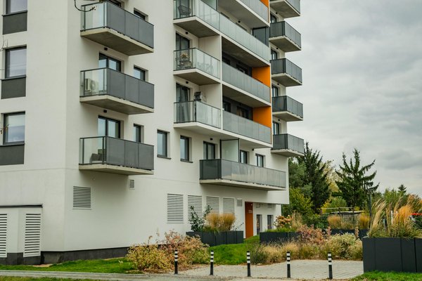 Maisons Éco-Responsables à Vendre : La Nouvelle Mode de l'Habitat Durable